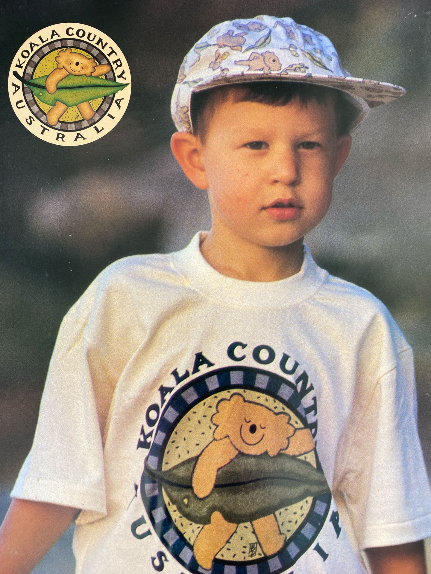 5_KoalaCountry